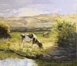 Úžasné obyčajné veci ll.